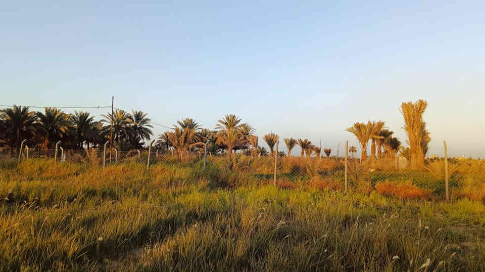 ◽ نصف دونم للبيع في كربلاء 
المساحه الف ومتين متر 1200 

 في كربلاء المقدسة، على جهة باب طويريج، قرب قناة كربلاء  يبعد عن الشارع الرئيسي قريب على مدينة الزائرين .
 (واجهة 23 ونصف متر)
الملكية: طابو 25 – تحويل سهم مباشر للمشتري
يحتوي على ، كرفان، بئر ماء مع غطاس
توفر الخدمات بالكامل (كهرباء، ماء، ومولد قريب)
 محاط بـ BRC ومثبت الحدود
 قريب من منطقة سكنية

• الاستخدامات الممكنة:
 بناء فيلا أو دار سكنية
أو دار لاستقبال زوار الإمام الحسين (ع)
أو أي إستثمار اخر

السعر 78 مليون وبيهه مجال

 للاستفسار الاتصال على الرقمين:
 ***********
*********** كربلاء, العراق
