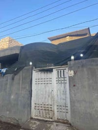 طيوريج الرشيده • ١٠٠م • زراعي سند٢٥