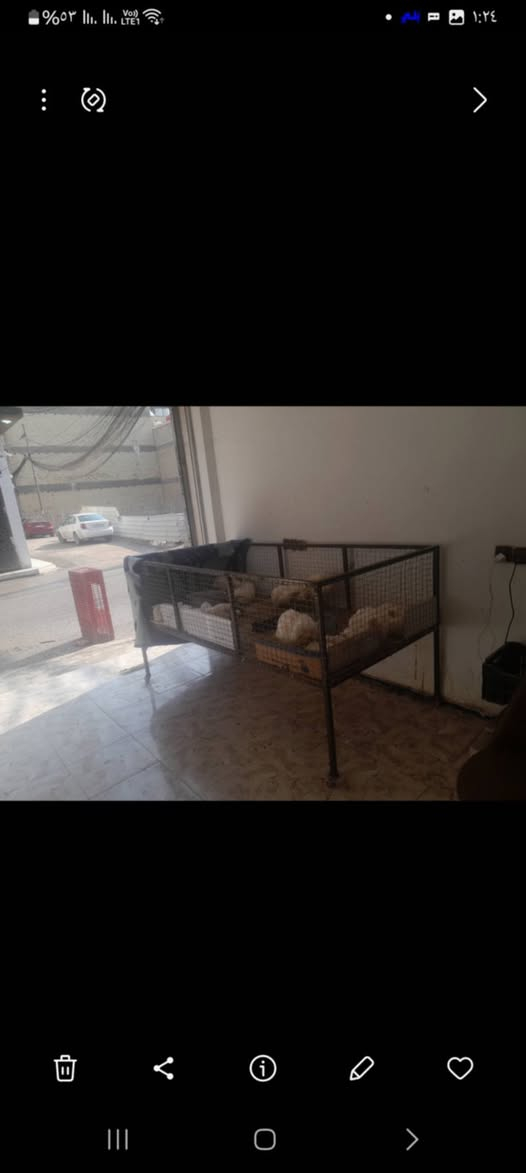 السلام عليكم انا عندي أغراض محل مال دجاج ورايد ابيعهم محتاج فلوس سعرهم ٦٠٠ وموجودين كربلاء شارع الزريف الروضتين


**إذا كنت صاحب هذا الإعلان وتريد حذفه لأي سبب، رجاءا أرسل رسالة إلى الدعم الفني**