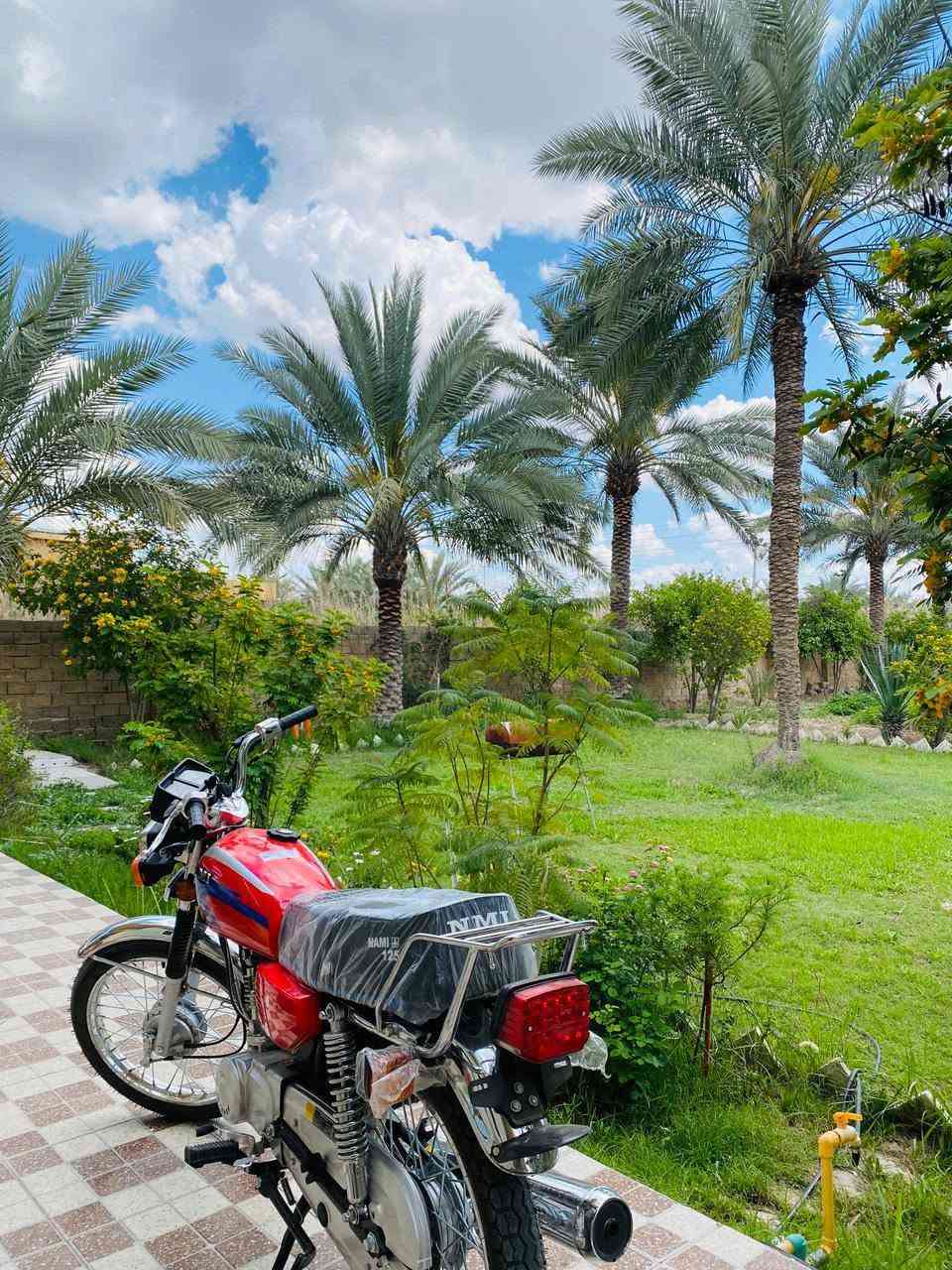 السلام عليكم نامه شلامجه تعمير شاصي2015 سكنر والغراض 2027 كامله نضافه فول وكفاله من كلشي من تاير للتاير *********** مراوس ب دايوان نفخ عظم أو بيع
