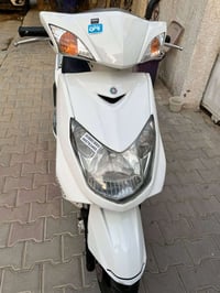 سكنس فحل • ياباني • مكفولة