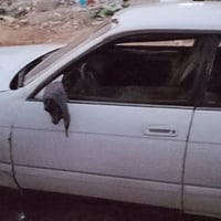 رقم كربلاء • نقل جثة • مكفولة