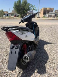 ماكس • ثعلب • نضيفه