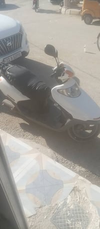 فحل • ياباني • اشاير
