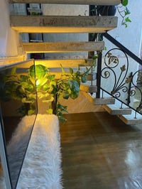 مشتمل • بابل شارع ٦٠ • ١٠٠م