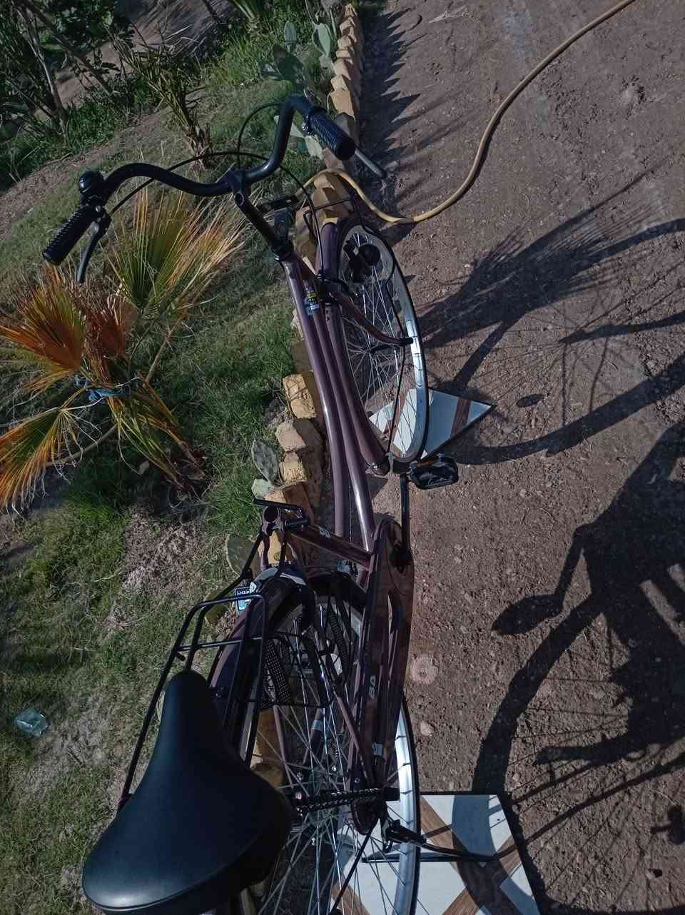 بايسكل للبيع قبل شهرين من منزلة من كرار ابو النقش موديل 2022كدامك البايسكل السعر 120وبي مجال مكاني ديوانية 
((الوتي لايدخل لان اهينة بـ🩴))


**إذا كنت صاحب هذا الإعلان وتريد حذفه لأي سبب، رجاءا أرسل رسالة إلى الدعم الفني**