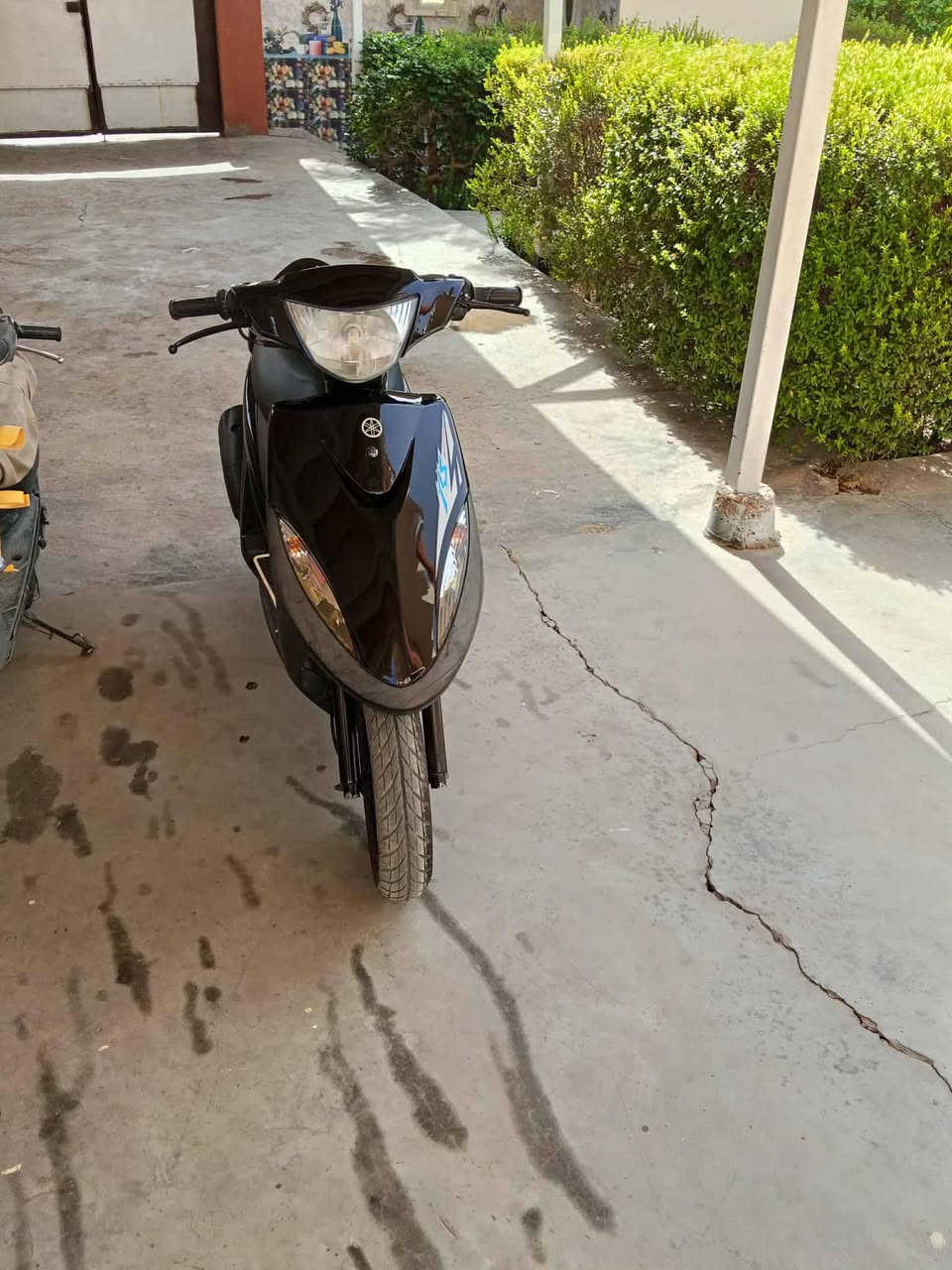 للبيع ماكس عدله خير من الله كله شغاله عادات بانزبدين اشاير ختم واحد الشراي يتفضل خاص


**إذا كنت صاحب هذا الإعلان وتريد حذفه لأي سبب، رجاءا أرسل رسالة إلى الدعم الفني**