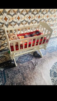 جربايه • حجله • الزبير
