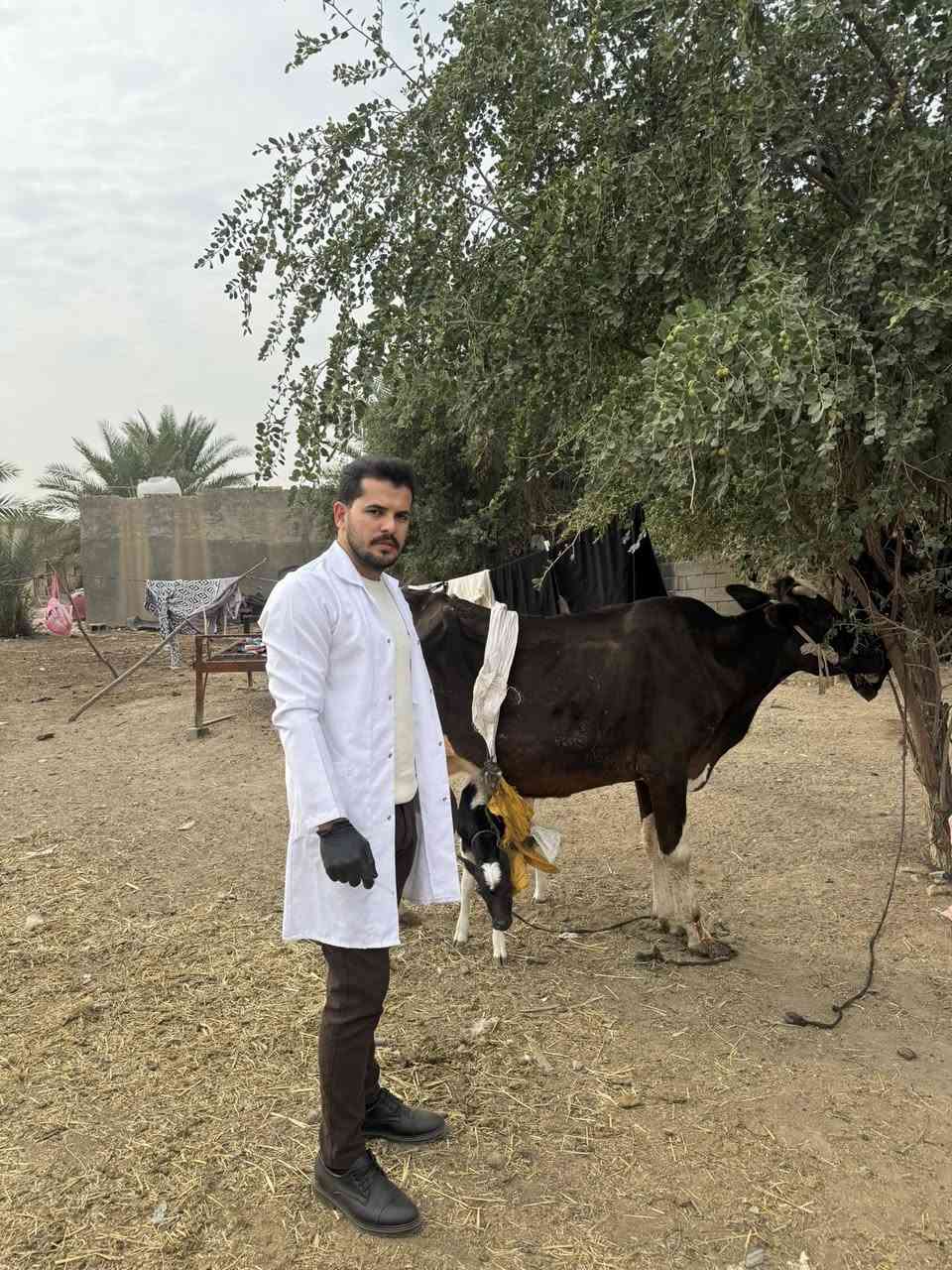 السلام عليكم ورحمة الله وبركاته 🌹

نعمل دائمًا على خدمة المنطقة والإخوة المربين، ساعين للوصول إلى أفضل النتائج من خلال توفير الأدوية البيطرية والمستلزمات ذات الجودة العالية.

تُعلن عيادة العنبر البيطرية عن توفر خدمة التلقيح الصناعي باستخدام مواد ذات مناشئ عالمية، بإشراف  الدكتور ( علي كامل العنبر ) لضمان أفضل النتائج في تحسين السلالات وزيادة الإنتاج.

📍 هدفنا دعم الثروة الحيوانية والارتقاء بمستوى التربية في المنطقة
📞 للاستفسار والحجز: (***********)

أهلاً وسهلاً بكم دائمًا 
د علي كامل العنبر
