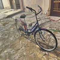 باسكل • سعر خاص