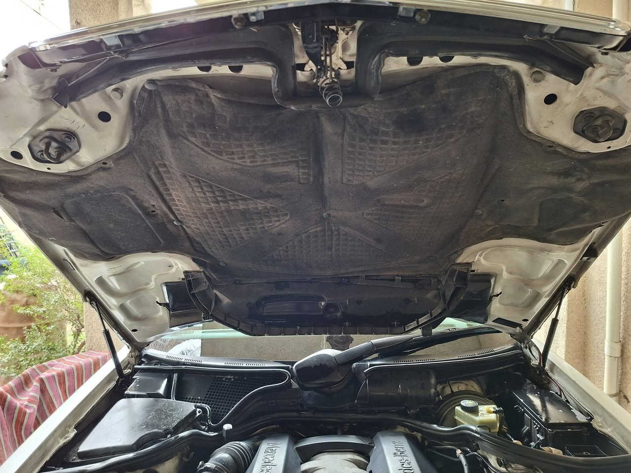 السلام عليكم ورحمة الله وبركاته
اخوان من رخصة الادمن 
‏
#رقم الهاتف :*********** 

#رقم السيارة :بغداد باسمي سنوية نافذة لغاية ٢٠٢٩

#مكان السيارة بغداد 
-------------------------------------
السلام عليكم 
للبيع فقط بدون مراوس 
مرسيدس ام عيون  ابيض موديل 2000 اصل  وارد الماني  صبغ حزام ففط ودواخل مكفولة سيارة جاهزة بدون نواقص  
تفاصيل👇🏻
1_ بصمة ⁦🗝
2_محرك6V✈️⁦⁩+كير المرغوب 
3_تبريد ❄️ قطعتين⁦
4_كروز سرعة🔒 
6_مراية داخلية+جانبة عاكسة 🔍
7_تحكم ستيرن ⚔️
8_ كشنات كهرباء ⚡️
9_تجاوي خلفية قلابة ✨
10-شاشة اعطال🖥
11-مصباح داخلي بالخلف 
12-انارة ترحيب 🔦
13_ دبل ايرباك 
14-زوج  تاير جديد
15-اشاير بلمري💡
16-صدر امامي خلفي جديد ⚔️⁦ حدادية جديدة مكفولة١٠٠ 
17-مري شفط
18-جلد ⚔️
19_لايت زنون بلادي   
سيارة كراسي كهربائي وتحكم جلد وفرس جدد 
سيارة للجناي الله شاهد 
السعر ١٢٥ الشراي يتفضل عالخاص 
الميصرفلة لا يكسر حلال العالم الله ييسر للجميع 

-------------------------------------
