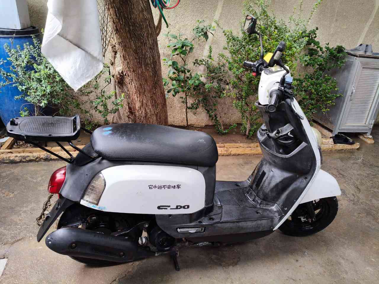 السلام عليكم دراجه بوليس نوزل شاشه إلكترونيه دراجه خير من الله بلاديه اروح وجي بيه لشغل مو بيع وشره داخل املح كامله مابيه اي نقص منعده الكلج بدايه السعر :550وبيه مجال العنوان مشتل رقم الهاتف :***********
