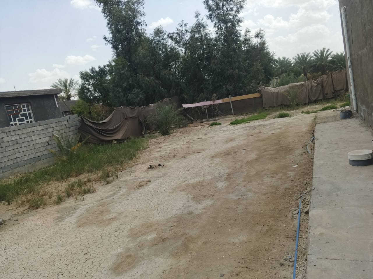 سلام عليكم قطعه بحي الشرطه صايره بل وجه 
تحتوي على معمل سندويج الكاع صب مساحه الكليه 800/نزال56/وجه13/ /او تنباع كامله مساحه1600وجه32ونزال56 مع بيت طابقين 
*********** الاستفسار وتساب
