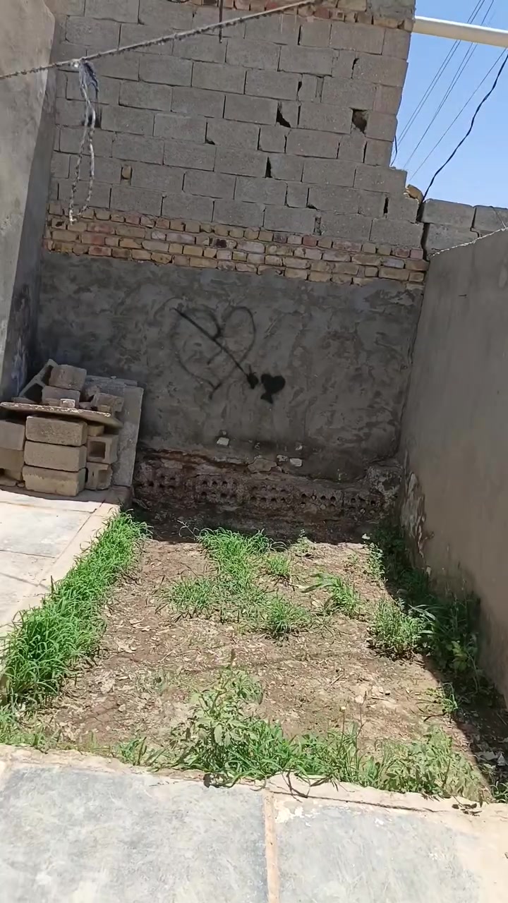 بيتين وشقه للاجار فارغات حاليا
عنوانهن حي الصدر الثاني خلف جامع الامام الحسين عليه السلام
اجارهن150 الف للشهر الواحد 
*********** اتصال او واتساب
