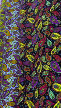 كشمير إيطالي • سيلين • حله سوق المسقف