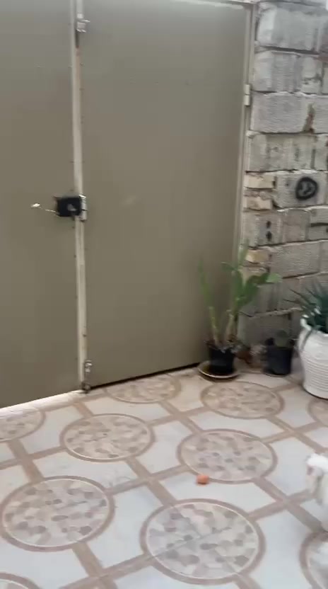 تفاصيل داخل الفديو
بيت مساحته 150 متر 
غرفتين نوم 
هول مزودج مع المطبخ+ مطبخ حار 
صاله جبيره ۷ امتار طارمه مربعه 
العنوان الكراده خلف محالات عبد 
الحسين الشيباني 
للاستفسار عل رقم صاحب الدار 
***********
