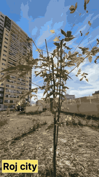 روژ ستي • ١٦٨م • ٣ غرف نوم