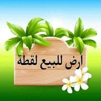 حاوي الكنيسه • ٢٠٠م • واجه ١٢ ونص