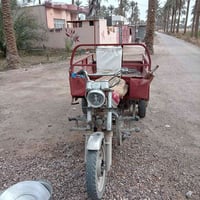 ستوته • بها سنوية • المسيب