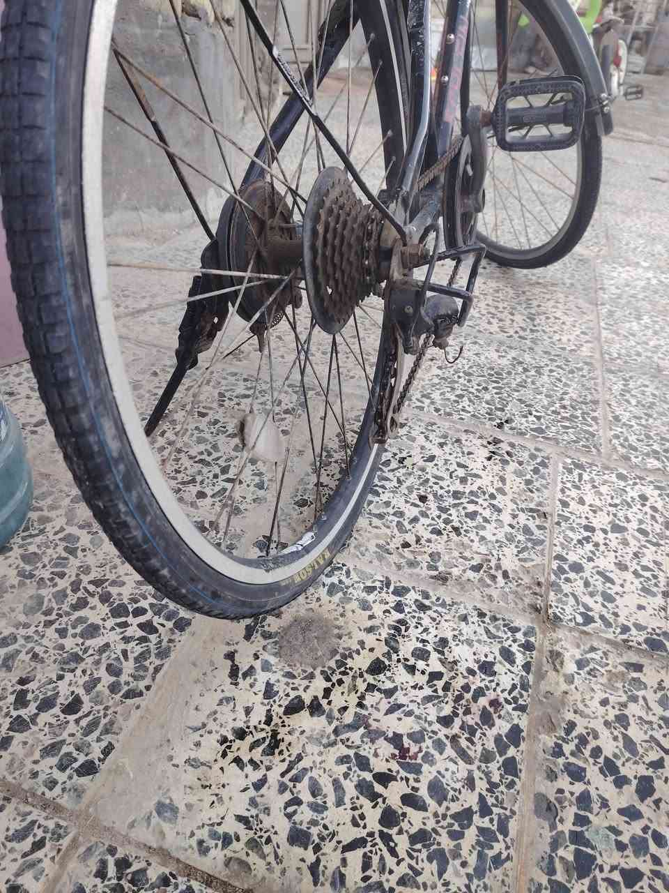 باسكل رياضي BCCوزن خفيف  جاملغات بلاستك نضافه ٩٠ تايرات وجوابه جدد  ب٦٠ وبي مجال التواصل خاص


**إذا كنت صاحب هذا الإعلان وتريد حذفه لأي سبب، رجاءا أرسل رسالة إلى الدعم الفني**