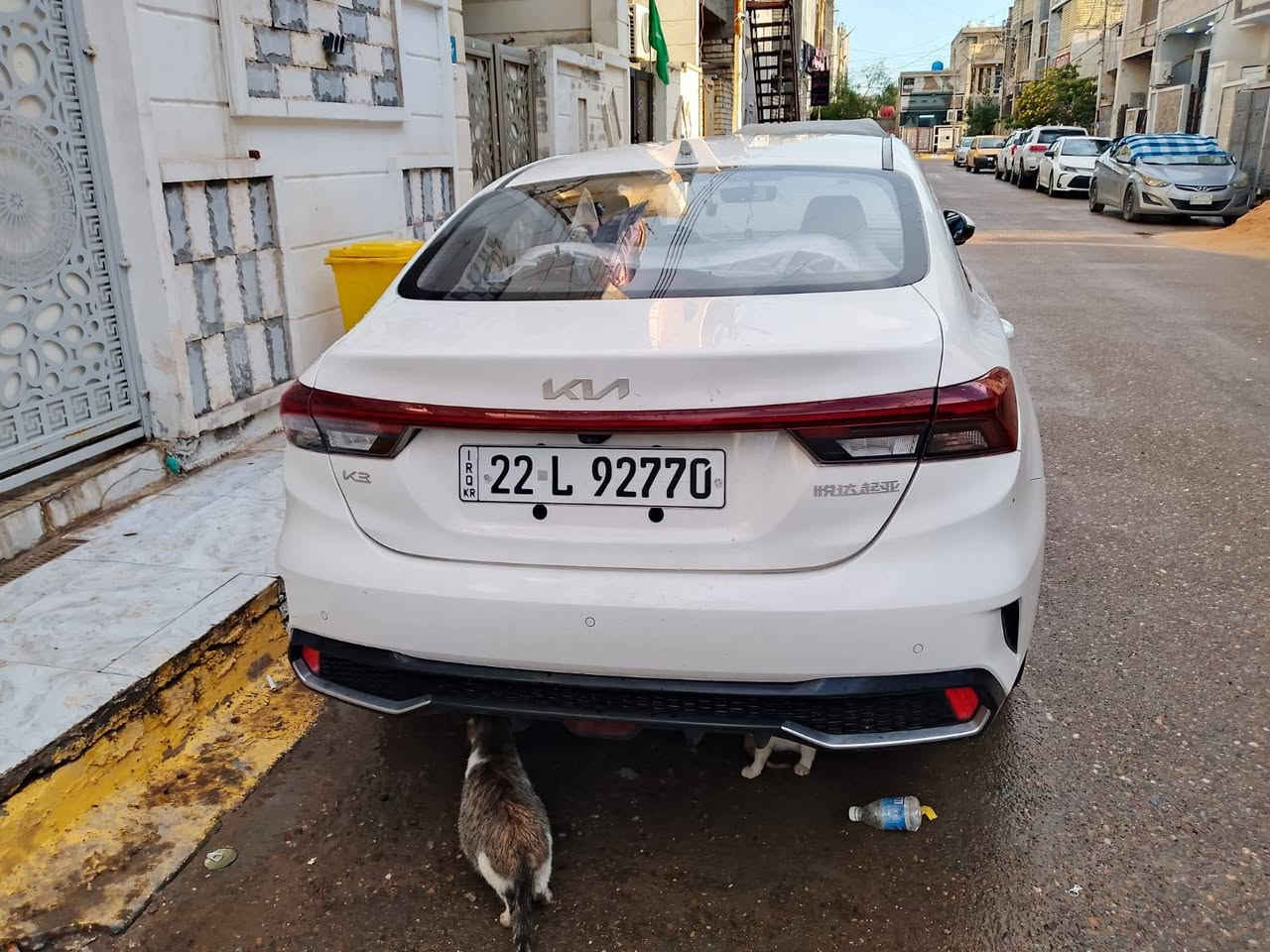 السلام عليكم
K3 صيني  موديل ٢٠٢٤ ممشا ١٦ الف
كفاله عامه
فول مواصفات فتحه
 بصمه
 كشنات جلد
 سايد بريك بصمه
 وباقي المواصفات معرفه
رقم شمالي باسمي السعر ١٤٨ وبيه مجال بسيط 
للإستفسار الاتصال على الرقم *********** واتساب 
مكلف بالنشر
