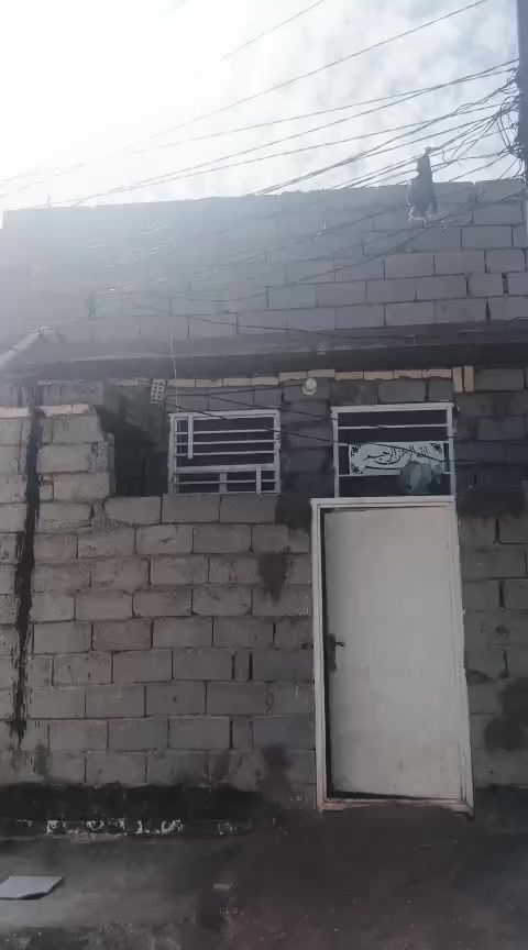 دار للبيع المساحة 50 كربلاء الحر قرب جامع المهدي شارع اسواق السلطان ***********
