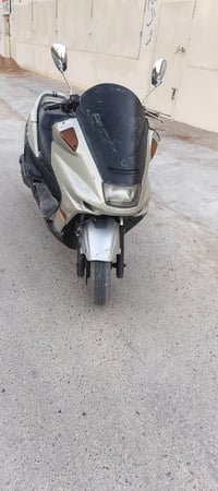 ماجستي • فحل • زنون