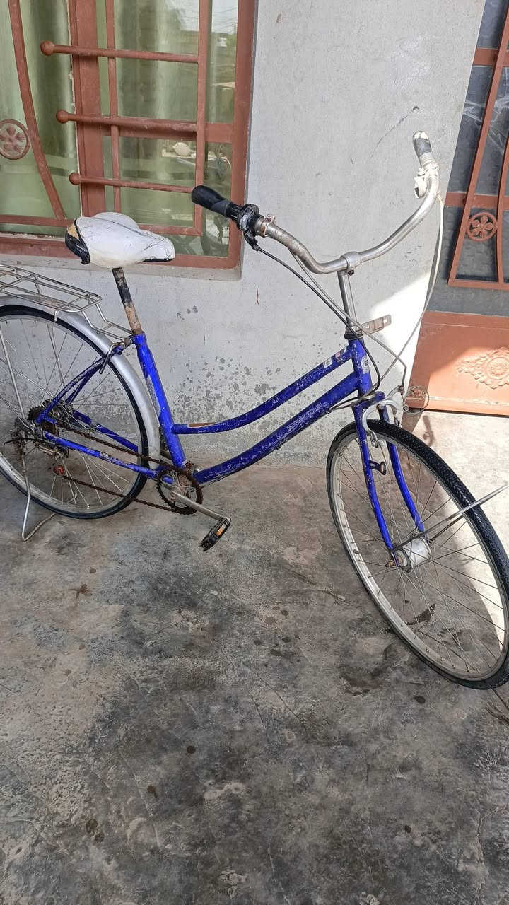 بوسكلات للبيع ياباني اصلي
مكاني الشركاط الخضرانيه 
للاستفسار ‏‪***********‬‏
