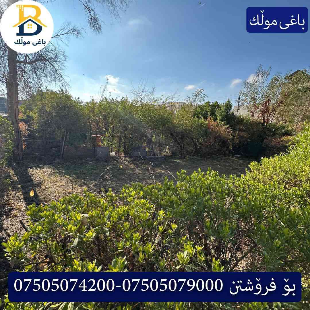 خانوو پێش خدمات  بۆفرۆشتن له #32پارک  
دوو نهۆمى به رووبەری 250م بەکارهاتوو
   ،روو لە قیبلە،5ژورى نوستن،1سویت ، 
گه رماو  ،چێشتخانە+چێشتخانەی گەرم،كوالێتی،شەقامی10م
کۆد.2302

دار مقابل خدمات للبيع في #32پارک
2طابق بمساحة 250م بیت مستعمل،واجهة  قبلة 
، 5غرف النوم،1 سویت +مشتملات  ،مطبخ 
عمل+مطبخ ،كواليتي ،على شارع10م

بو زانيارى زياتر .
للأستفسار اتصل على.
📞 ***********
📞 ***********
📞 ***********

#عەقاڕات #باغی_موڵك #هەولێر #کوردستان #عقار #للبیع #بیت #للاجار #عاجل #عراق #اربيل #سعر #خانووبۆفرۆشتن #خانووی #دبي #ڤيلا #مجموعة #مجانا #مفروشات #مناسبات #منازل #بینا #سليمانية #دهوك #نينوى #بغداد
