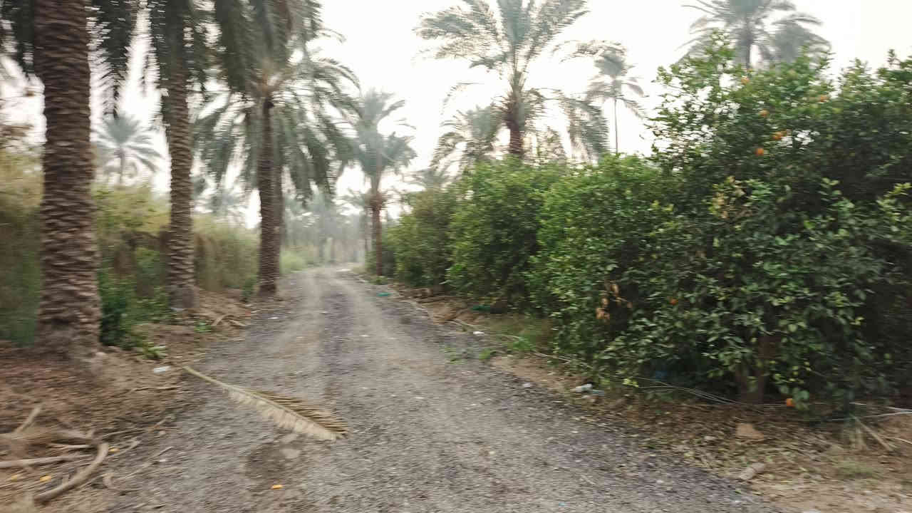 يا الله سلام عليكم دونم البيع طابو سند ٢٥ يبعد عن سده ١٥٠ متر خدمات كامله
الوجهة ٢٨
النزال ٨٩
العنوان المدائن منطقة جعاره
الاستفسار اتصال برقم ***********
