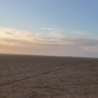 أرض زراعية • قرب الهطور • ٥٠دونم