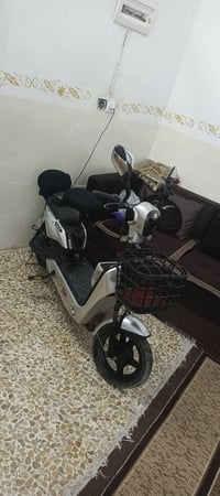 ماطور شحن • نضافة فول • حمام العليل