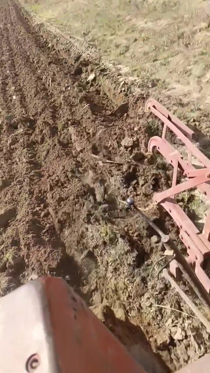 فدان بولندر لبيع شرط الكراب ***********

