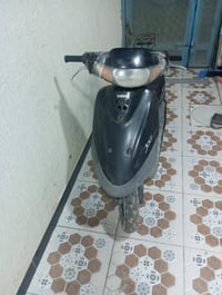 منغولي فحل • نضيفه • باتري