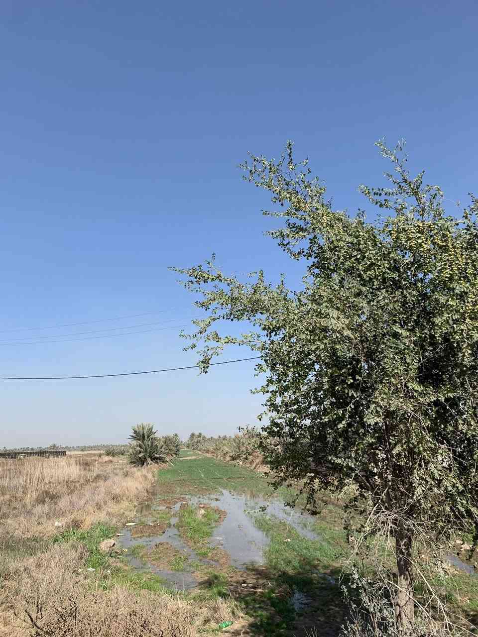 سلام عليكم كاع للبيع (3)دوانم ونص
طابو زراعي سند 25–
كهرباء طوارئ—ماء 💧 متوفر
عنوان الخيرات منطقت الفياده 
الاستفسار…***********
