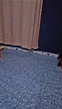 وقف سني • البصرة أبو الخصيب • ٨٠م