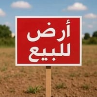 ١١٥م • عرض ٥م • دور الزراعة الرابعة