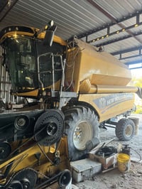 حاصودة انجكتر • ٢٠٢٠ • بابل جبلة