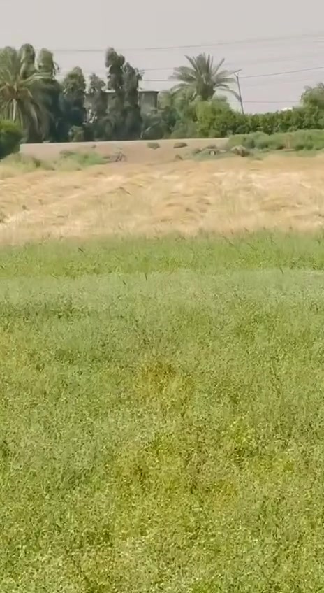 سلام عليكم على بركت الله 
🔸توجد ارض للبيع 
🔹مساحة (10دونم) 
🔶موقع واسط العزيزية شويفي 
الاستفسار 
مراجعة شركة لؤلؤة للعقارت سبعة 
التصال
‭***********
***********
