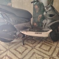 ثعلب • جديدة • مكفولة