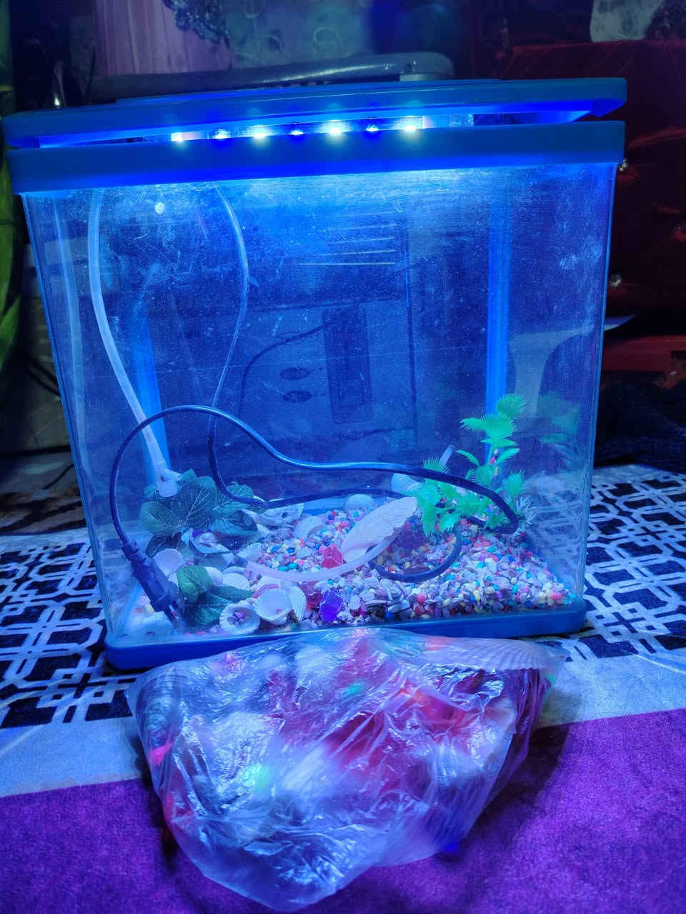 للبيع حوض سمج اخو جديد ستخدام شهر اقل كامل ماطور نشره والحصو بداخله بس سمج عليكم 😁حجمه مو جبير صغير قيمو وخذو العنوان بغداد مدينة الصدر ماعندي توصيل ملاحظه شراي خاص


**إذا كنت صاحب هذا الإعلان وتريد حذفه لأي سبب، رجاءا أرسل رسالة إلى الدعم الفني**