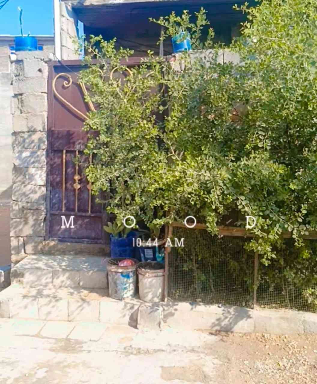 بيت ستين متر طابقين شارع المدرسي يم الفرع مال عزوز ابو الموبايلات الرقم ***********
