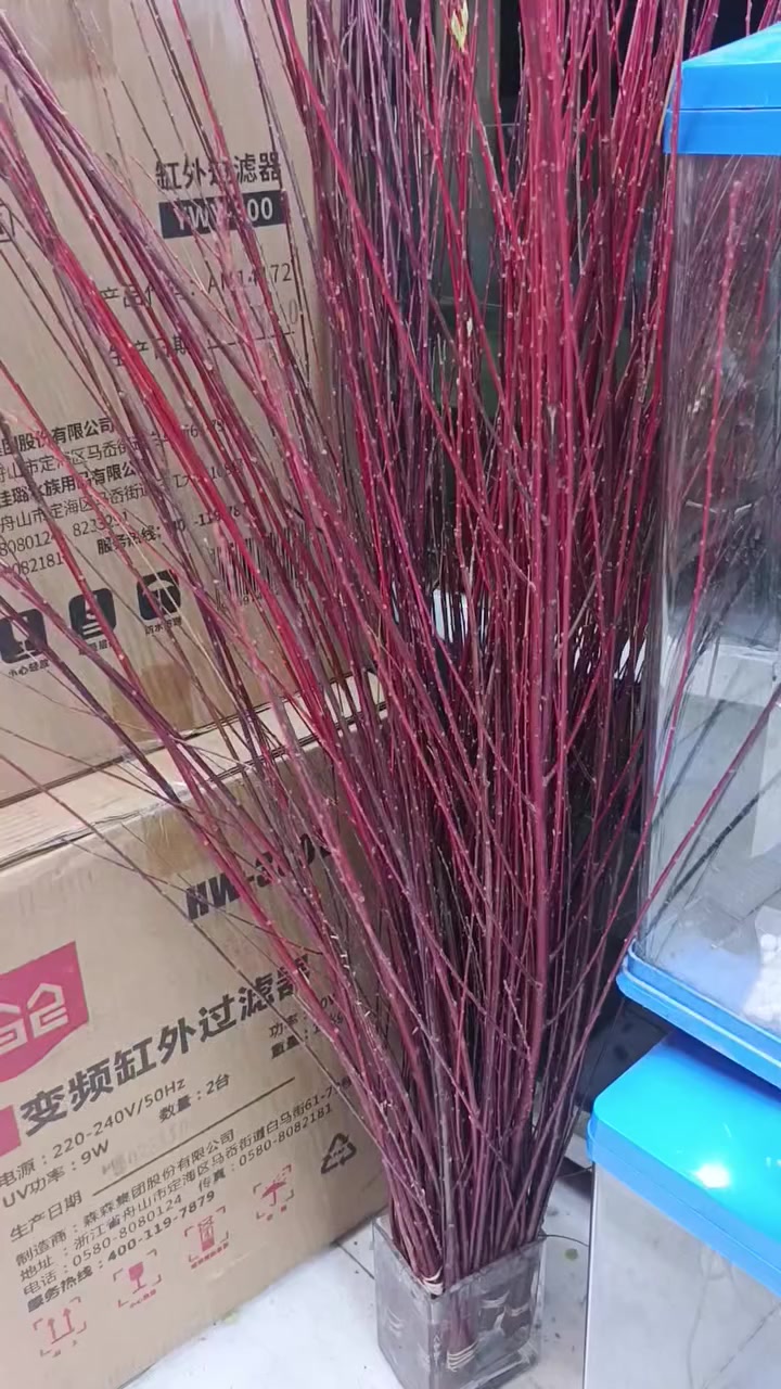 متوفر لدينا
نبات صفصاف القبضاني

الحزمة

5 الف

   

العنوان بغداد البنوك مقابل مكتبة الجوهرة

***********

 يوجد توصيل

بغداد 5 الف

محافظات 6 الف

صفحتنا على الفيس بوك

https://www.facebook.com/share/g/12EhHj3hWMj/

صفحتنا على الانستا 

https://www.instagram.com/qwi7811?igsh=MTczcTNla2FkdjM1MQ==

صفحتنا على التيكتوك

https://www.tiktok.com/@94q55?_t=ZS-8tuh7tCpdBv&_r=1

موقعنا في البنوك

‏

‏https://maps.app.goo.gl/eriMjK3gk3KYre8f9
