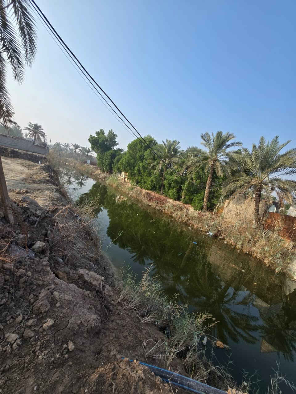 السلام عليكم احبتي الكرام
بستان مساحه 600م 
..وقف مسجل اصولي.
.موقع يخبل منطقه هدوء 
علا تبليط وبصفه نهر وضهره نهر .
..العنوان ابو الخصيب العوجه ..
.السعر 65 بي مجال 
للاستفسار ***********
