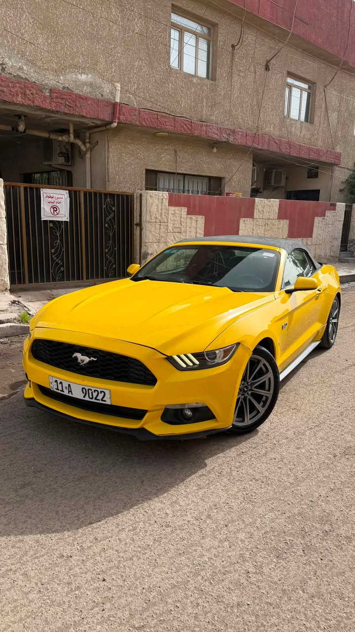السلام عليكم

للبيع او مراوس حسب القناعه
mustang V6 2015🐎🚀

حادثها جاملغ خلفي نصه مصبوغ فقط بجم كبس بدون ايرباك

محرك وكير مكفولات من الفتح والتبديل

لون مميز اصفر 💛💛

رقم بغداد مميز بأسمي💵

مواصفات السته سلندر العاديه🔥
كامره خلفيه
كشن كهرباء
بصمه 
تشغيل عن بعد

ماشيه 97
مسويلها ادامه كامله يم علي الصميدعي
مبرمجه سيفتي يم طلال 4brothers
تخم تاير جديد
دسكات جديده
السياره حلوه ومصروف عليها وجديده كلش معتني بيها

للاستفسار
***********
