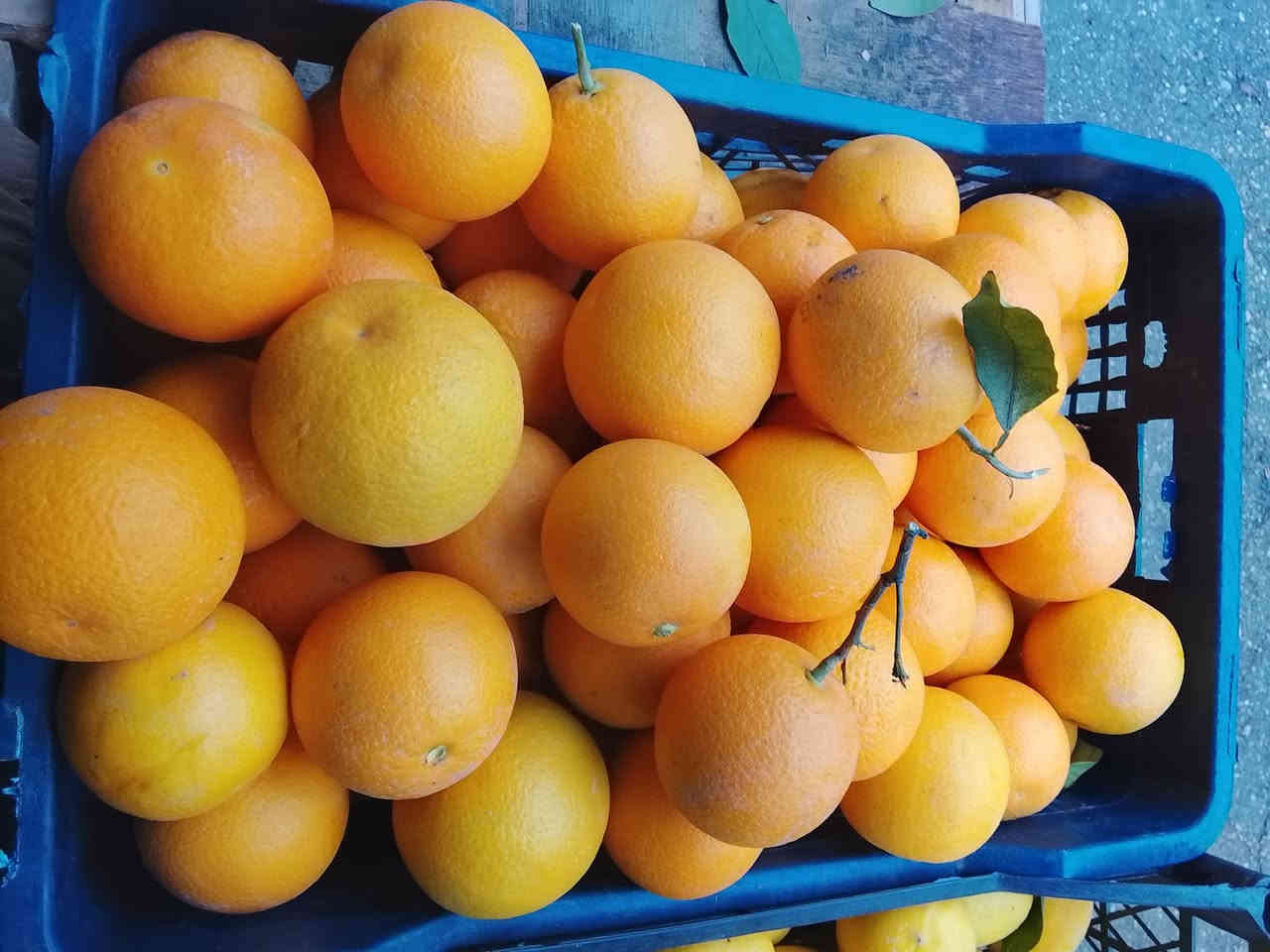 صباح الخير
توصيل داخل بعقوبة مجاني مجاني مجاني 
رقم الهاتف واتساب ***********
