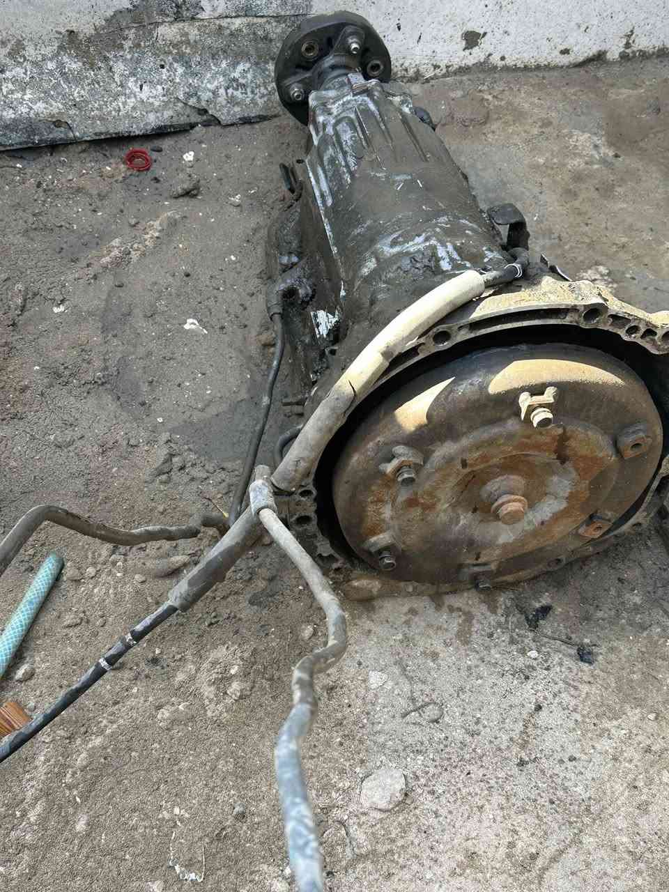 السلام عليكم
للبيع كير مال محرك VVT 3000

8 بن كير مجفته عل ايدي بس بي شغله 

اويل بم موزين الي يفيده يراسلني ويدلل 

للاتصال ***********
