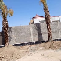 تشجير نخيل • مرخص • حدائق وشوارع