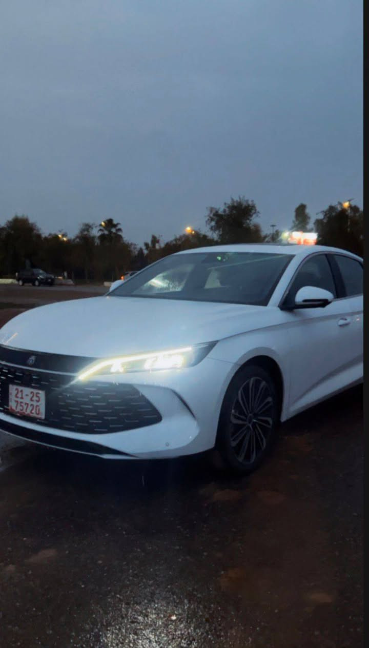 Qin L 2025 للبيع بطارية كبير
