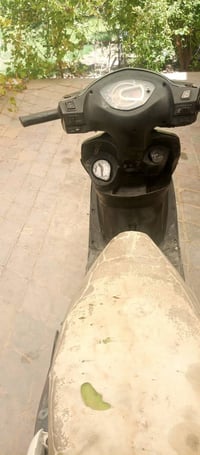 سايم • شغاله • الرمادي
